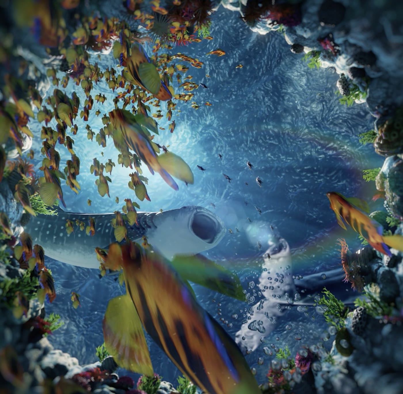 Looking up through a ring of coral at a whale shark and a shoal of yellow fish, sunlight coming through the water