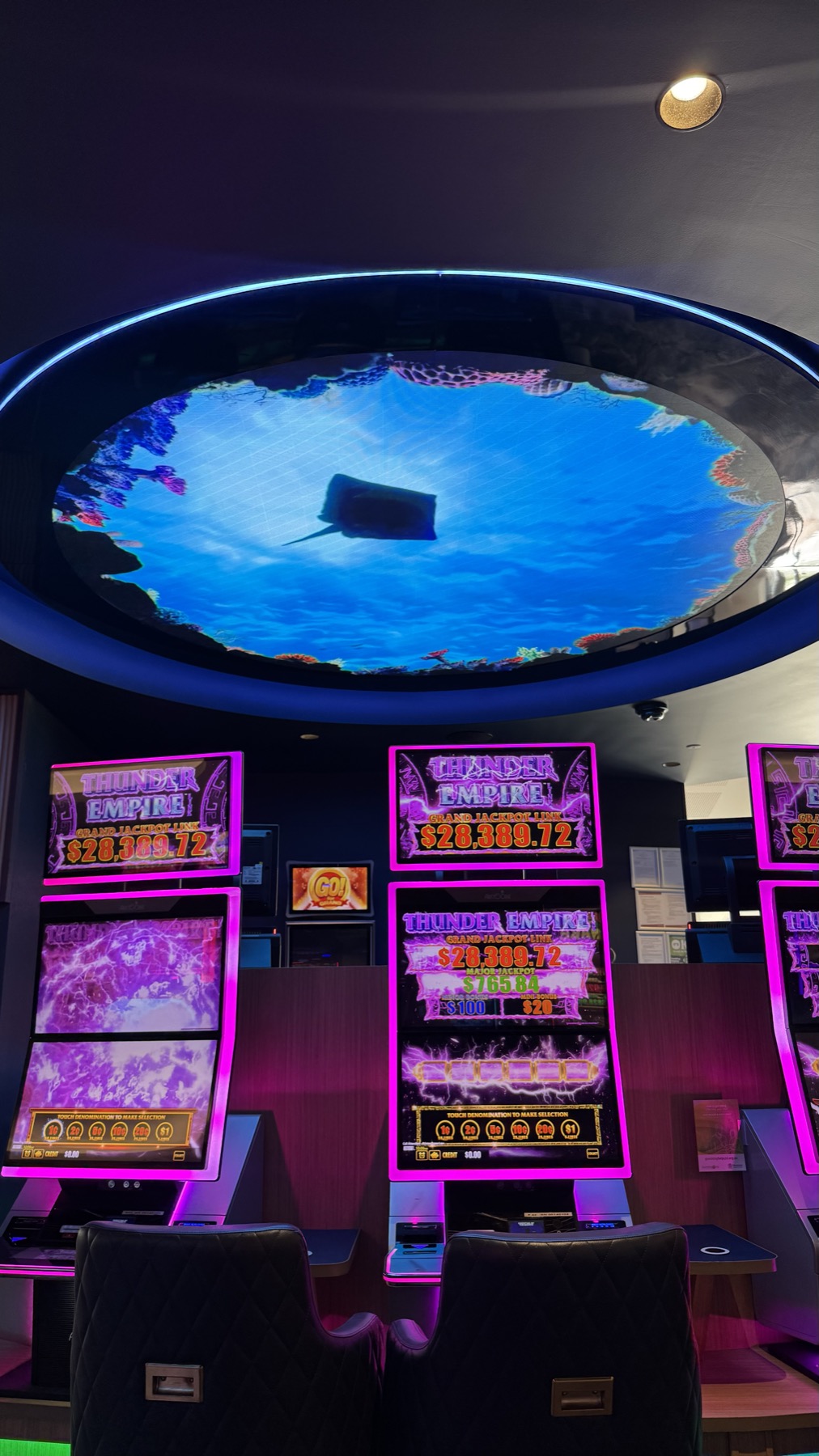 A manta ray crossing the round ceiling display above a bank of machines edged in pink light