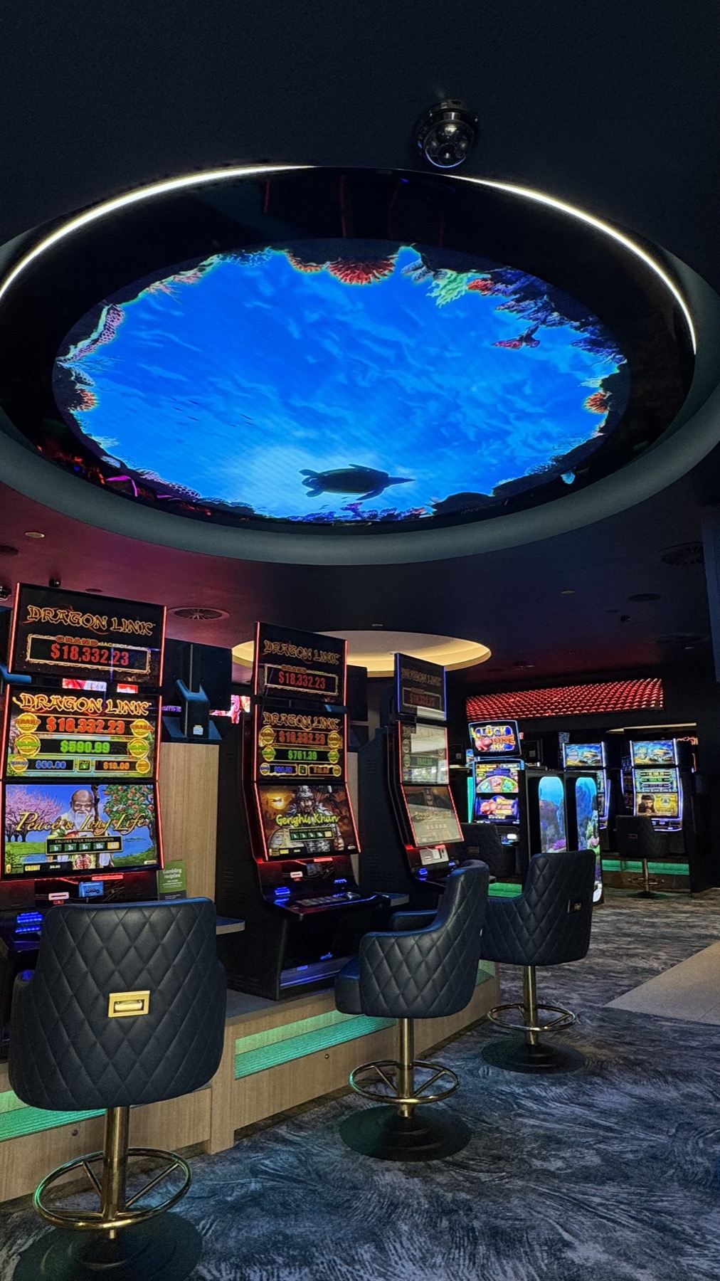A round LED ceiling display over the gaming floor: a sea turtle glides over a coral reef, machines and quilted chairs below