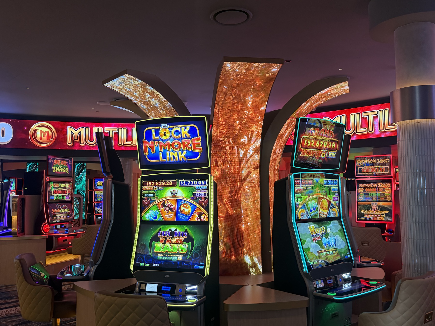 Curved LED panels arch over the room like branches of a golden tree, machines either side